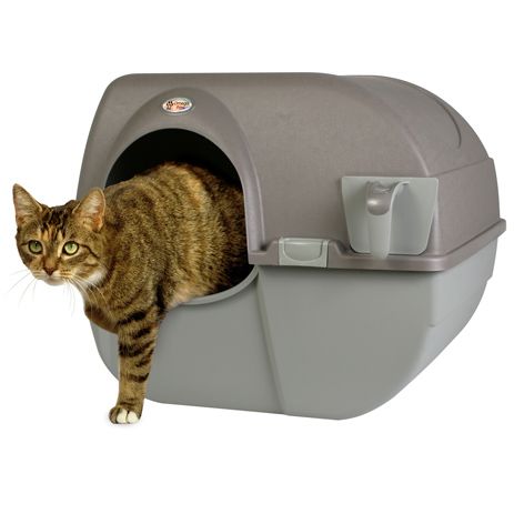Wc Omega Paw roll Casa de banho para Gato