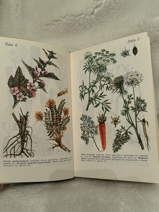 Д.С. Ивашин, ЗФ Катина справочник по заготовкам лекарственных растений