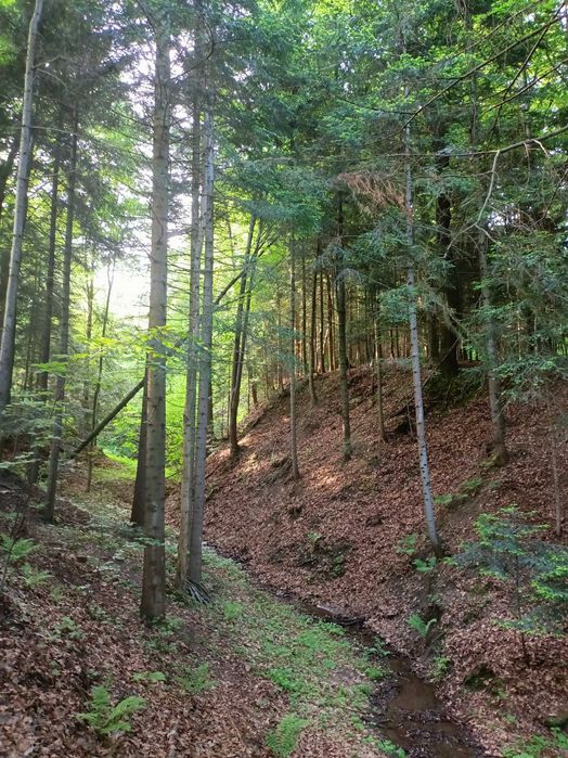 Drewniany domek na wynajem Beskid Wyspowy