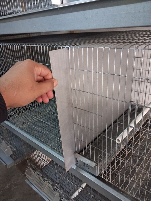Gaiolas para aves