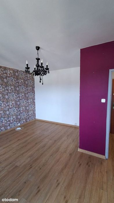 Kawalerka z pięknym widokiem na Przylesiu