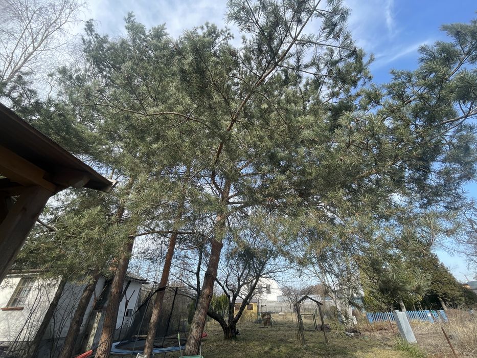 Działka ROD Lotnik ul. Strachowicka koło lotniska 350m