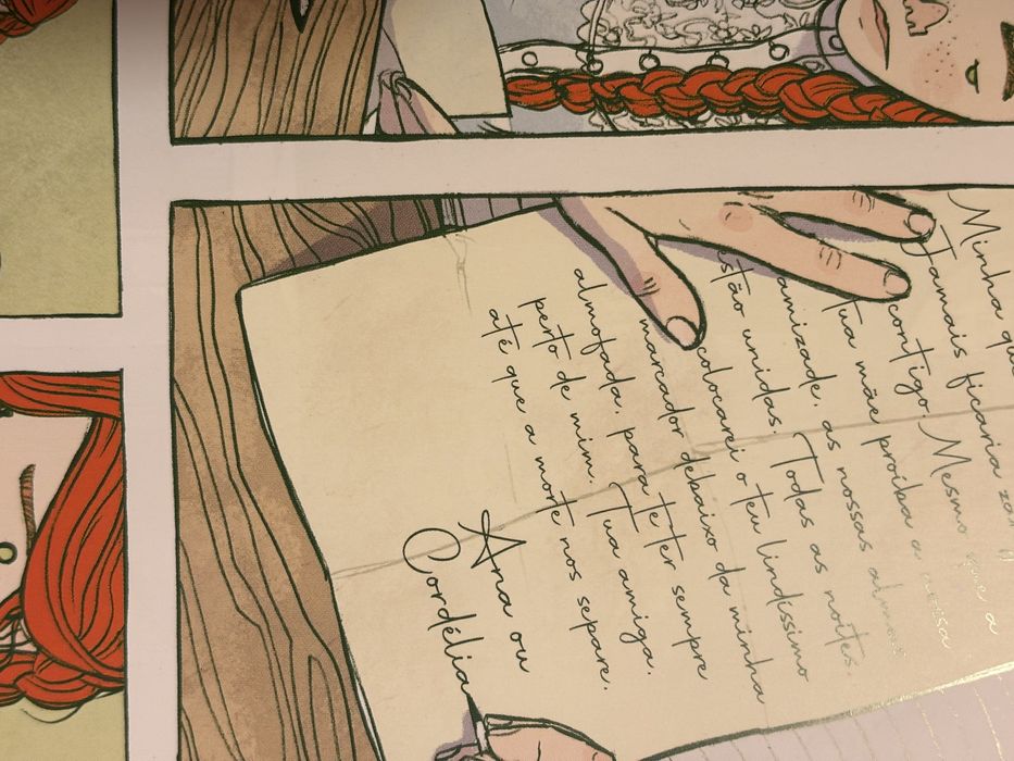 Novela Gráfica - Ana dos Cabelos Ruivos. Livro juvenil.