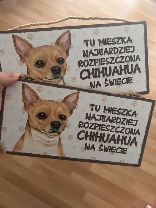 Tabliczki chihuahua