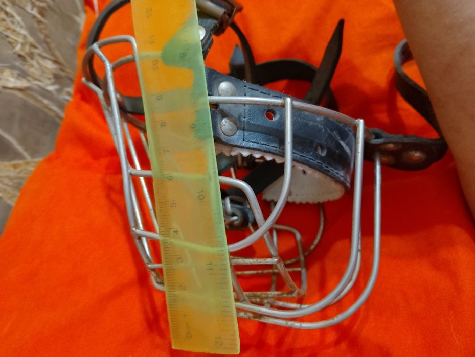 Поводок, ошейник, намордник