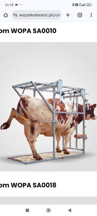 Poskrom do korekcji racic bydła wopa