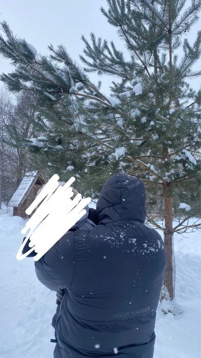 Чоловіча куртка Helly Hansen