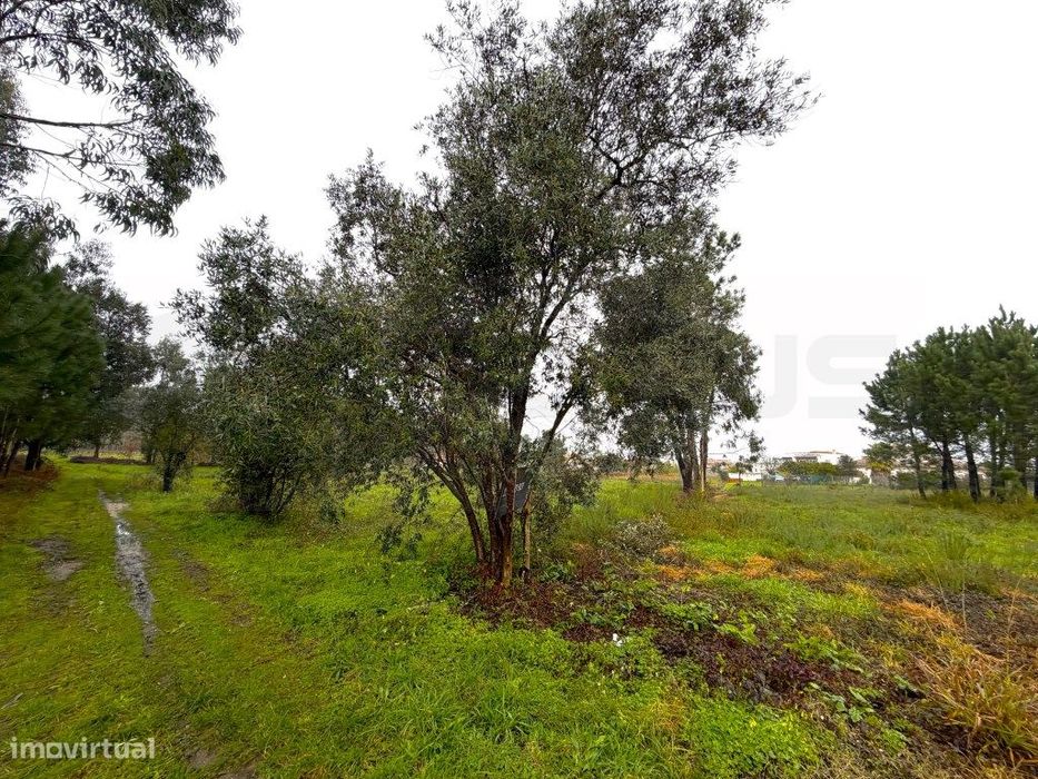 Terreno para construção de moradia - zona calma - VAGOS
