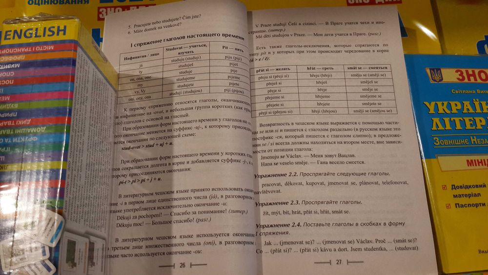 Чешский без репетитора самоучитель с нуля Мартыненко А. Е.