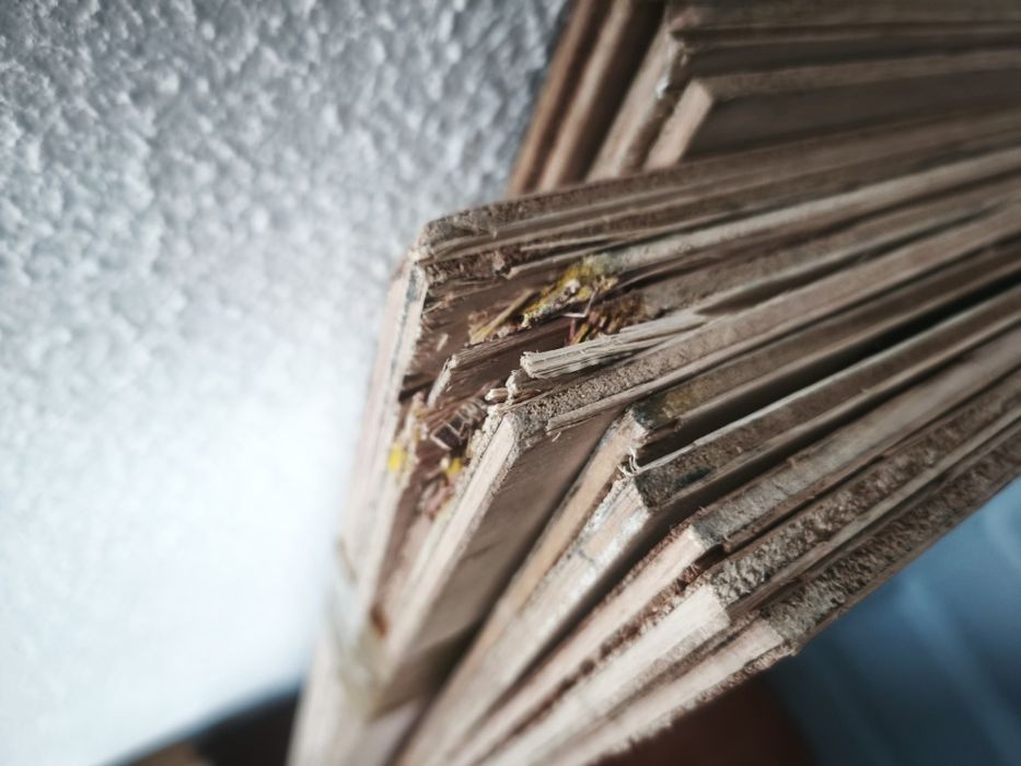 Placas madeira 1000 x 500 x 4mm