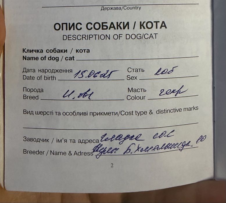 Немецкий овчарка для справювання