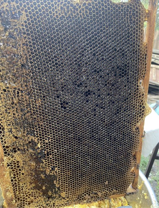 Продам домашний мед разнотравье