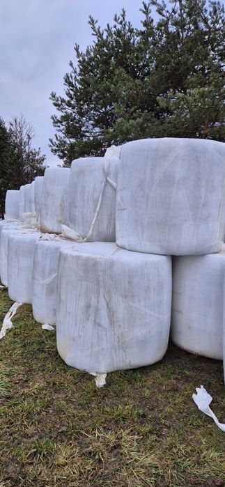 Bele sianokiszonki sezon 2025 ( słoma, siano, bele kukurydzy )