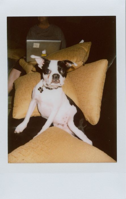 Fujifilm Mini Link 2