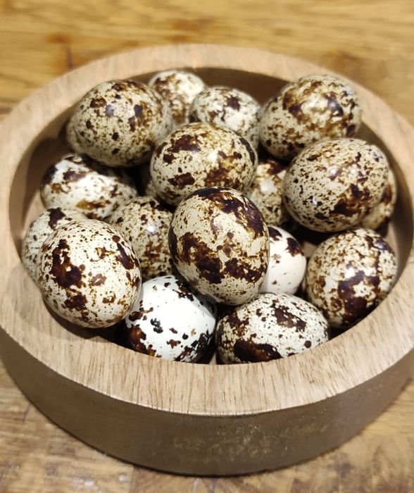 Wydmuszki jaj przepiórczych 40 sztuk