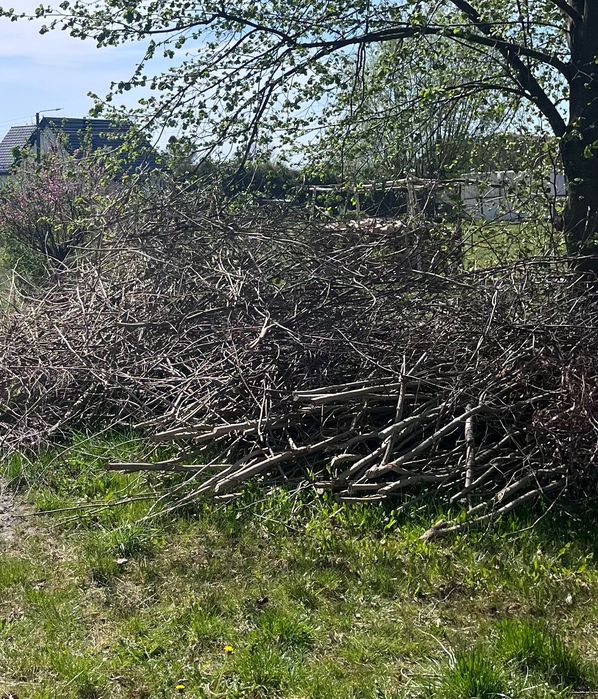 Gałęzie/drewno ze ścinki