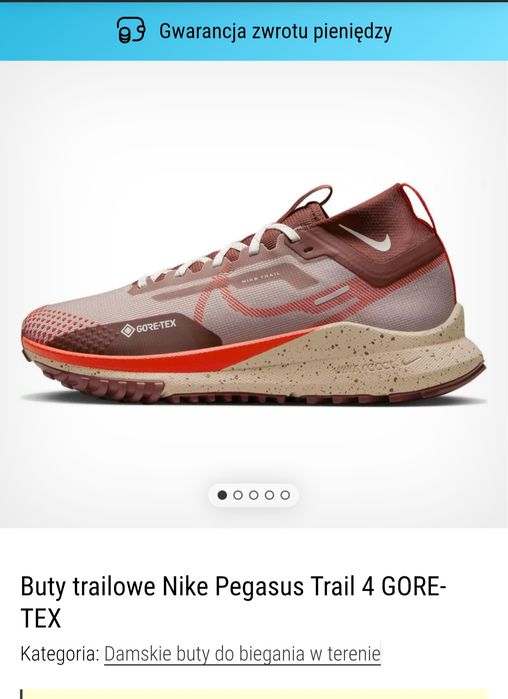 Nike Pegasus Trail 4 Gore-Tex