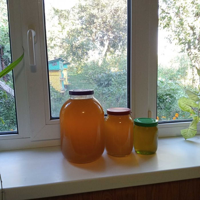 Продам свіжий , квітковий мед 140  за 1 л. С.Миколаївка.Сумська обл.