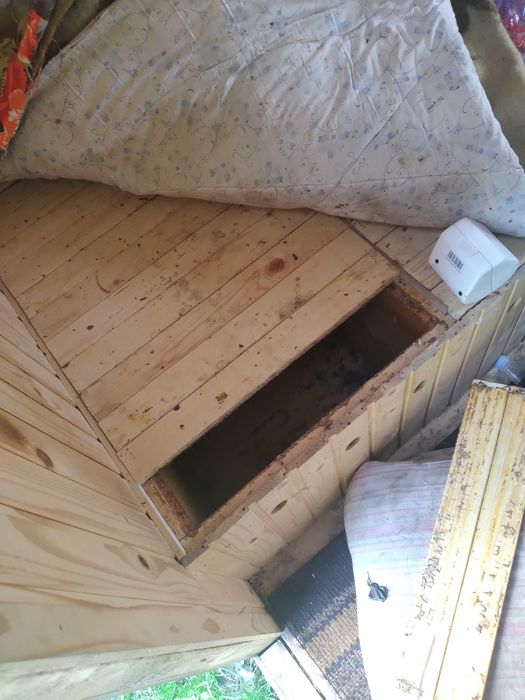 Апібудинок  вулики