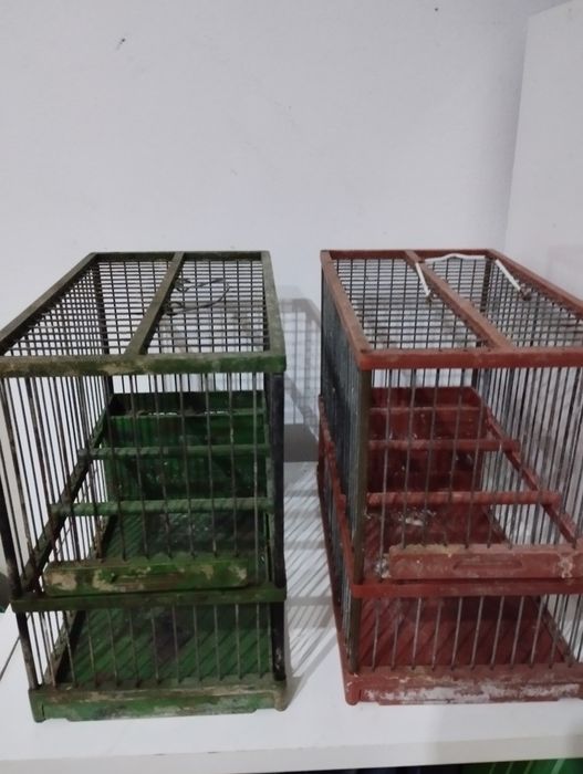Gaiolas pequenas