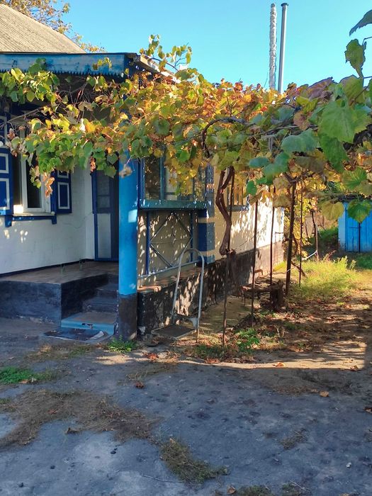 Продається будинок на Полтавщині