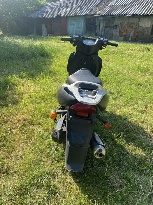 Viper grand prix 80cc