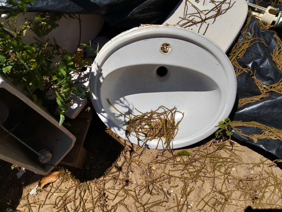 Lavatórios e pedras