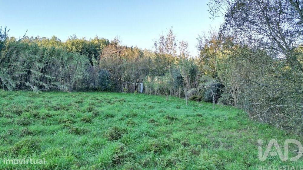 Terreno para construção em Semide e Rio Vide
