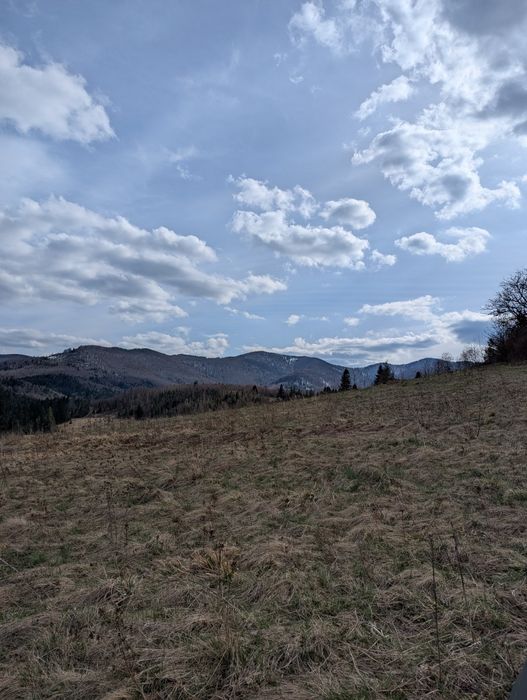 Земельна ділянка