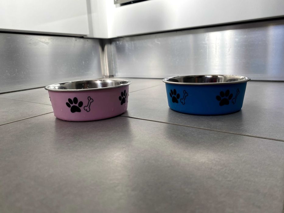 Tigelas de cão antiderrapantes