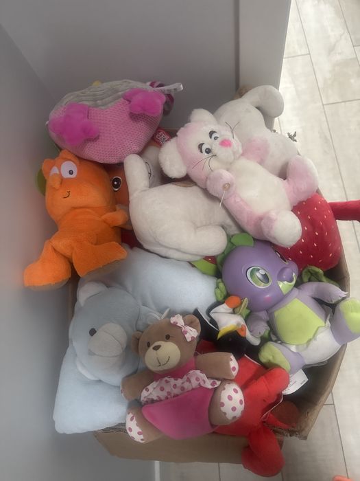 Maskotki duży karton