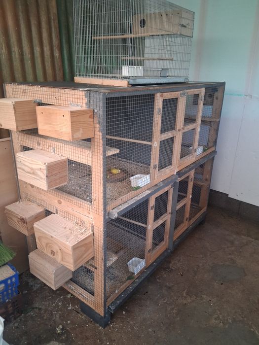 Vendo 5 viveiros 70×40 com pouco uso, mais dois viveiros em madeira. Mais máquina de limpar sementes