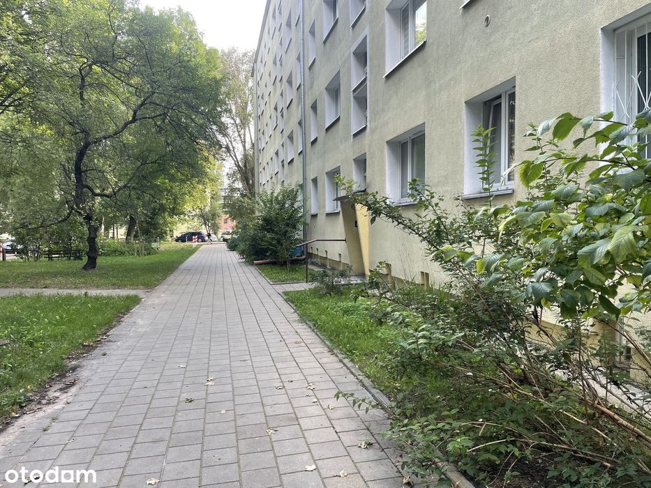 Kompaktowe mieszkanie przy centrum Tulipan , ul Konstytucyjna