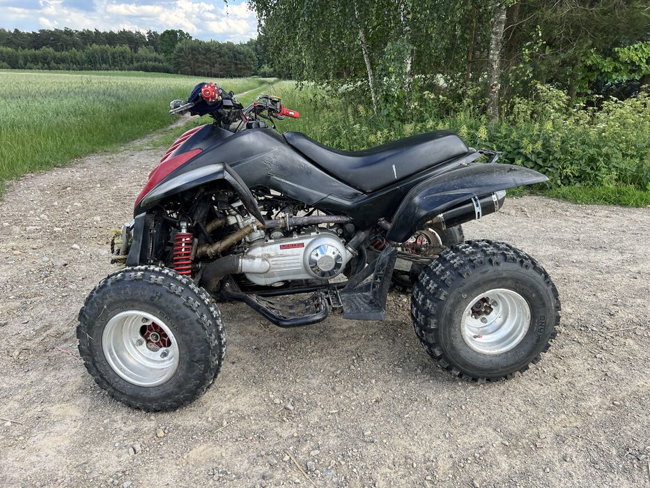 Dinli 300cc automat