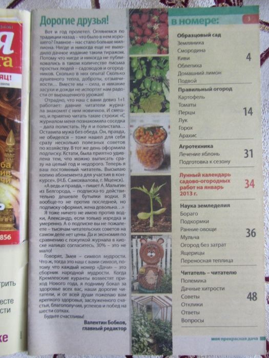 Моя прекрасная дача, № 12, 2012