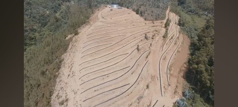 Terreno Melres Gondomar