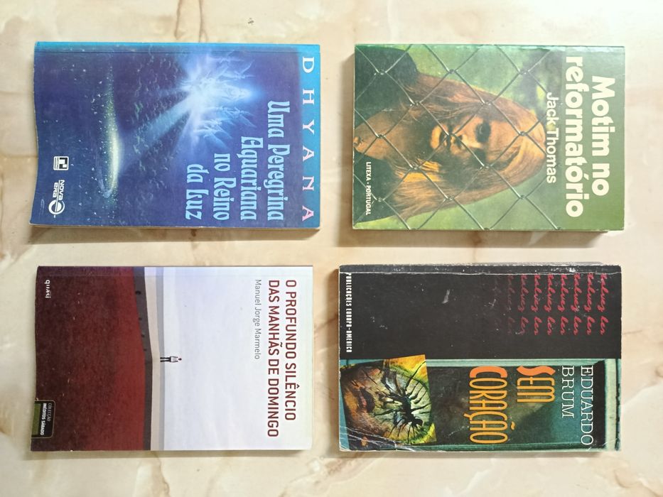 Lote de LIVROS bons e baratos ( 11 )