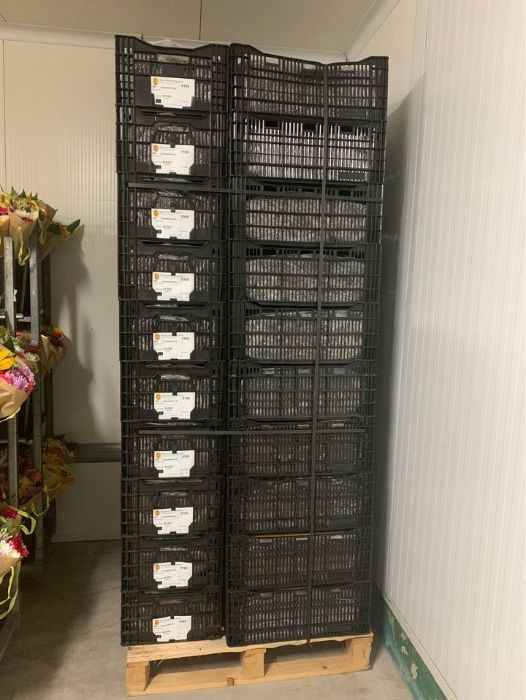 Plastic Boxes 60x40x22426532020883312642