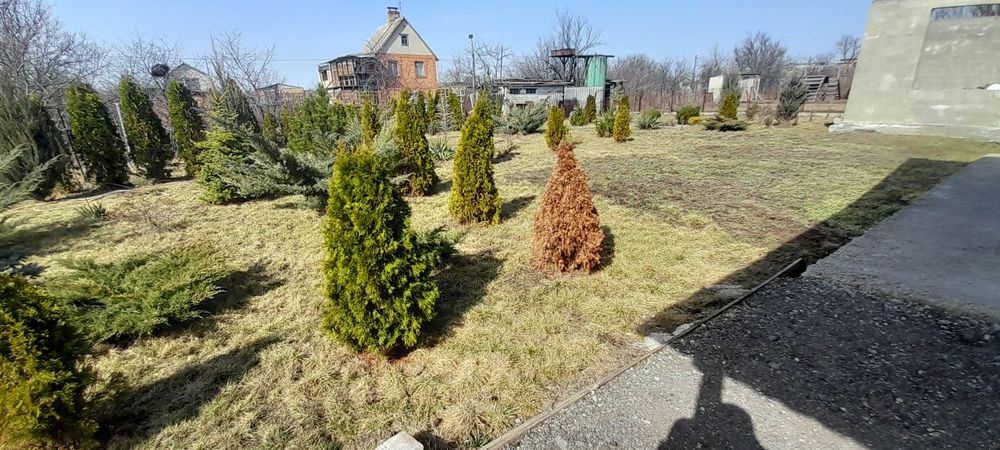 Продам дачу 12 сот  Шевченковский р,н