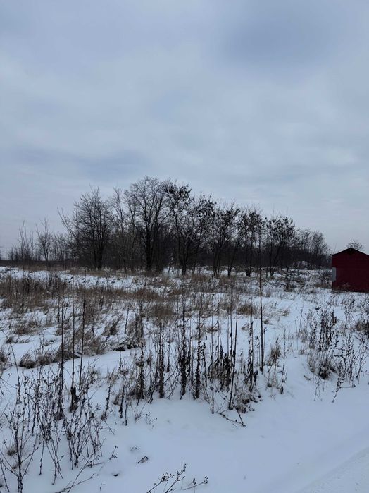 Ділянка від власника Шкуринці масив Поляна