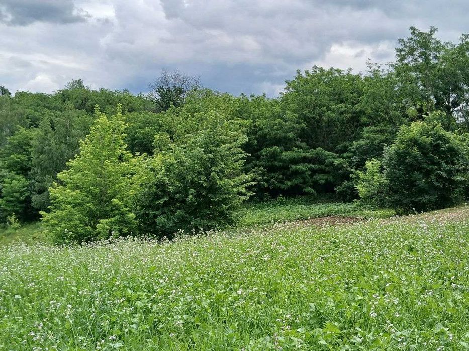 Продам ділянку з гарним краєвидом по вул. Гайдамацька, м. Обухів!