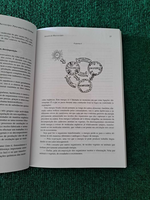 O Macroscópio - Para uma visão global - Joel de Rosnay