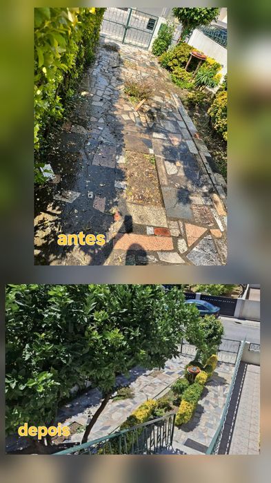 Serviço manutenção renovação e limpeza jardim