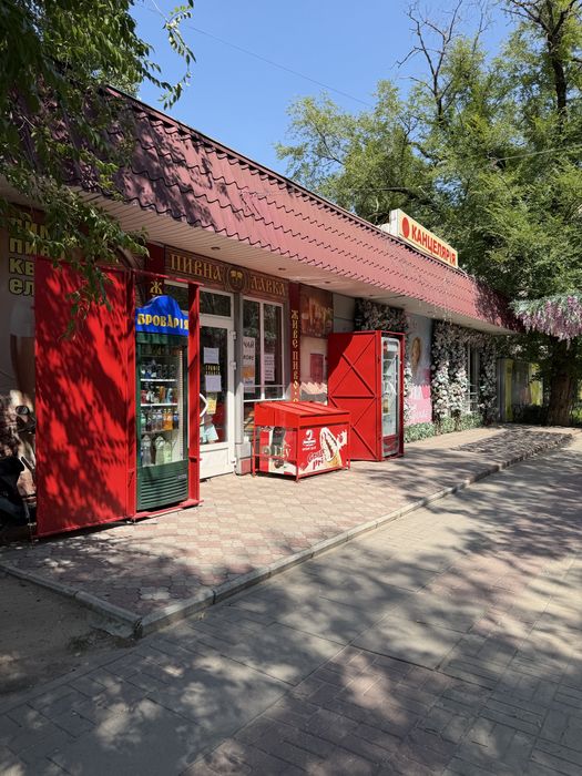 Продам діючий комерційний об’єкт (магазин)