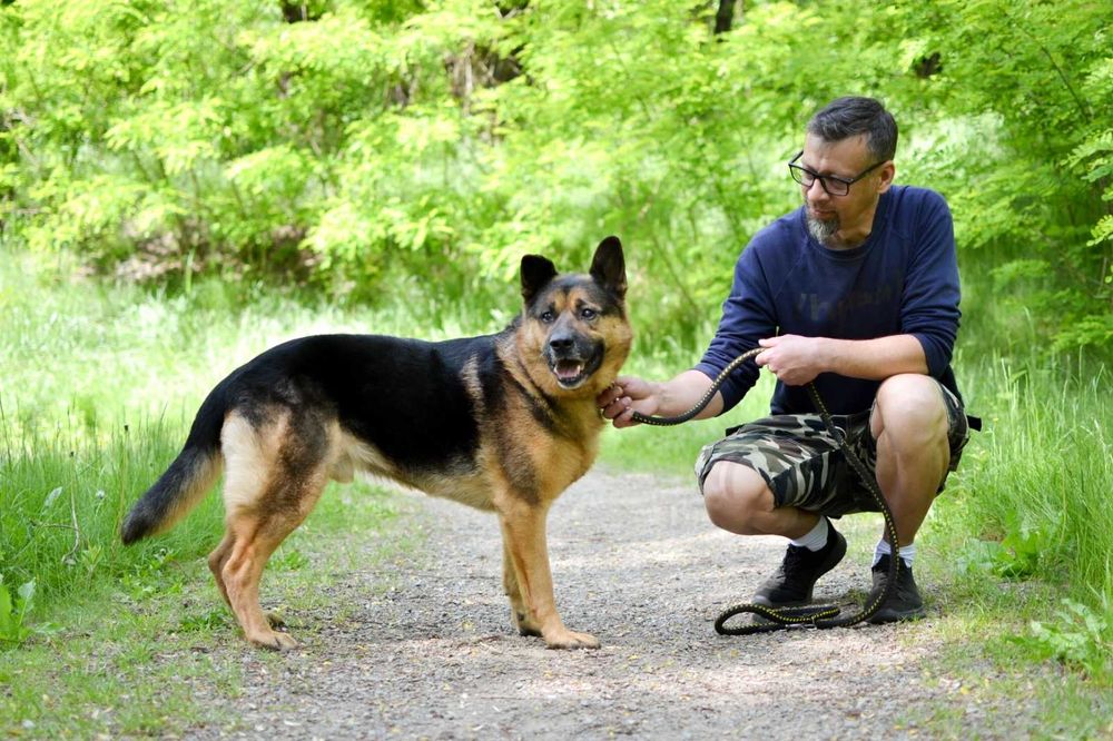 Piękny Azot czeka na dom