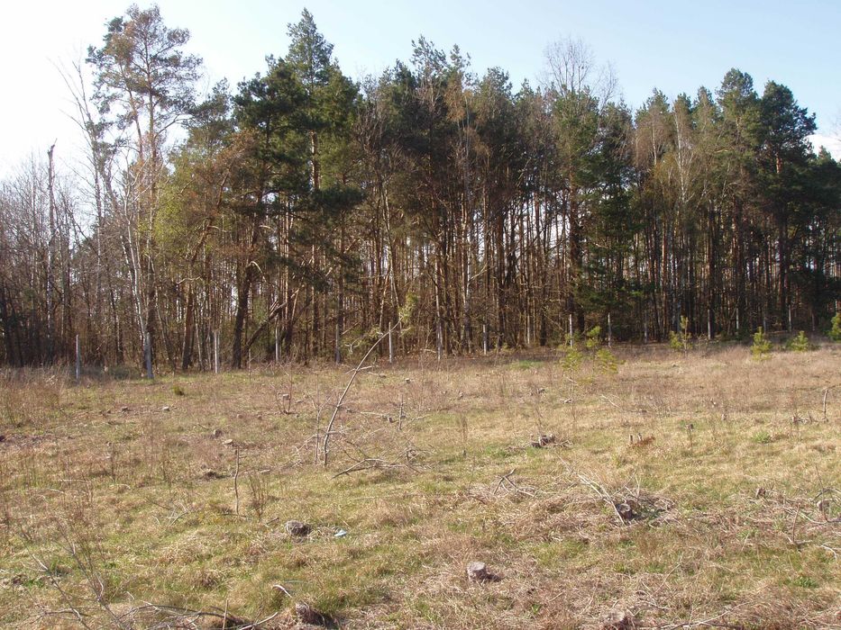 Działka z warunkami zabudowy 3000 m - okazja