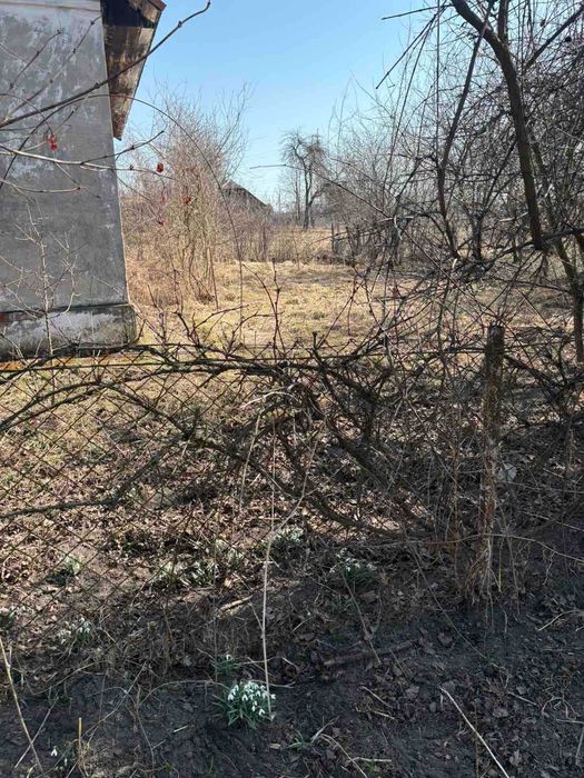 Житловий будинок та земельна ділянка 25 сот. смт. Добротвір