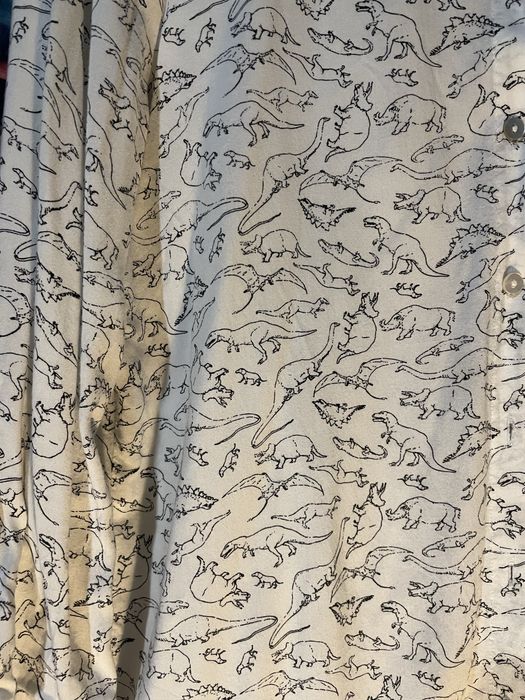 Biala koszula w dinozaury, Medicine