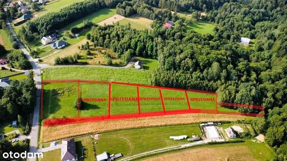 Borówki-Lasek, działka z WZ przy drodze powiatowej - Widok 2