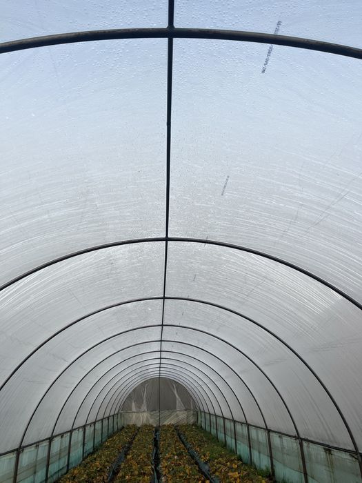 Tunel ogrodowy folia